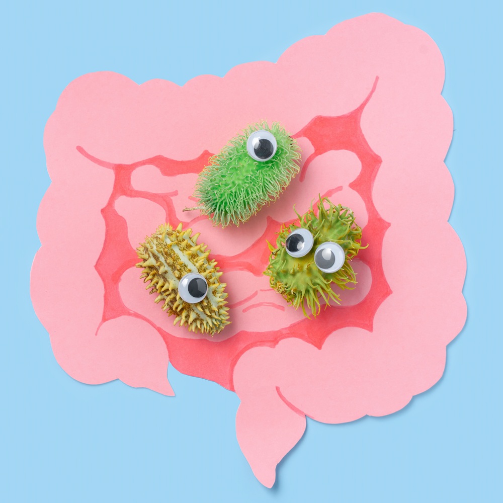 Mikrobiom-alapú terápiák: az új standard